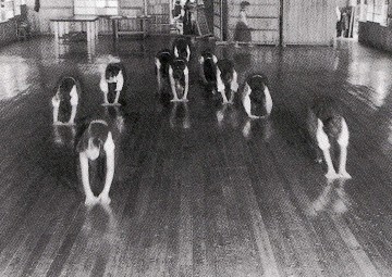 �V�Z�ɂ̏��|���ɗ�ސ��k����