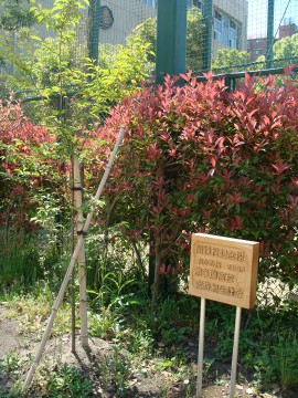 �莞����ے��̋L�O��