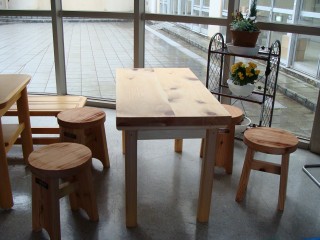 �q�m�L�̊��Ɛ��̊ۈ֎q